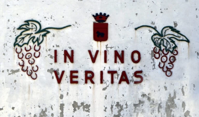 Тест: Знаешь ли ты значения известных латинских выражений?