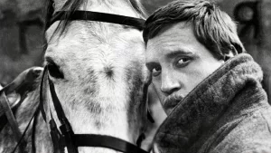 Знакомы ли тебе фильмы с участием Высоцкого?