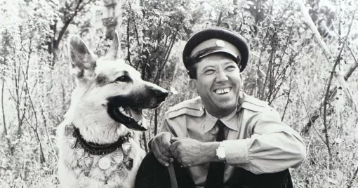 Тест: Угадаешь советский фильм по животным?