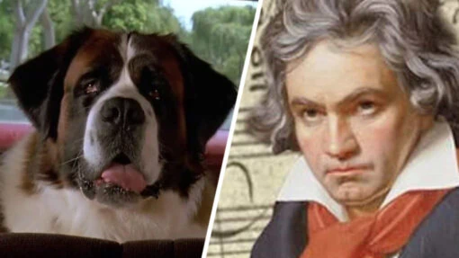 Какой ты Бетховен – композитор или пес? Тест для девочек