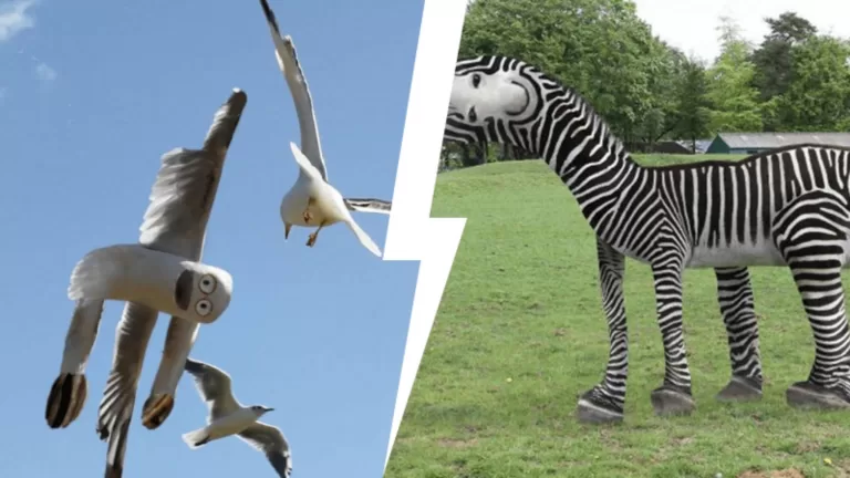 Узнаешь животное по детскому рисунку?