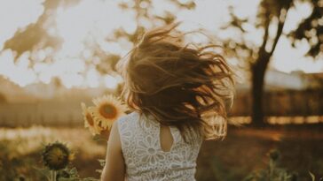 woman holding sunflower during daytime