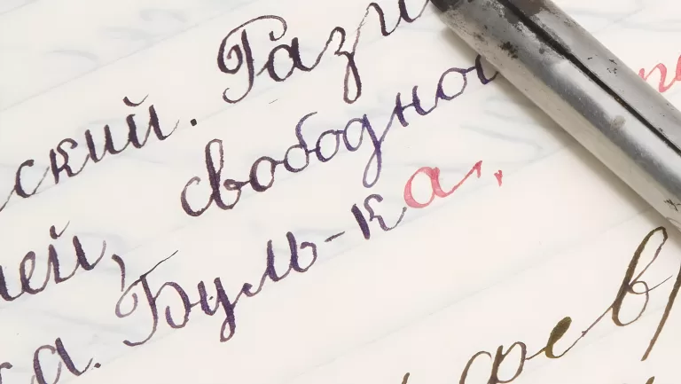 Помните ли вы правила русского языка?