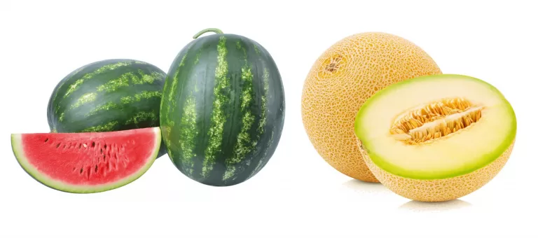 Арбуз или дыня, огурец или помидор?