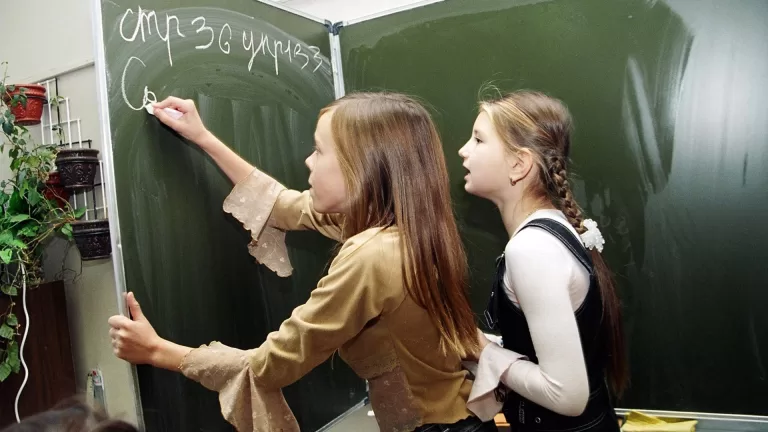 Тест по русскому языку: Вводные и лжевводные слова