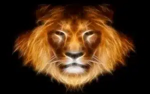 Кто вы по гороскопу на самом деле?