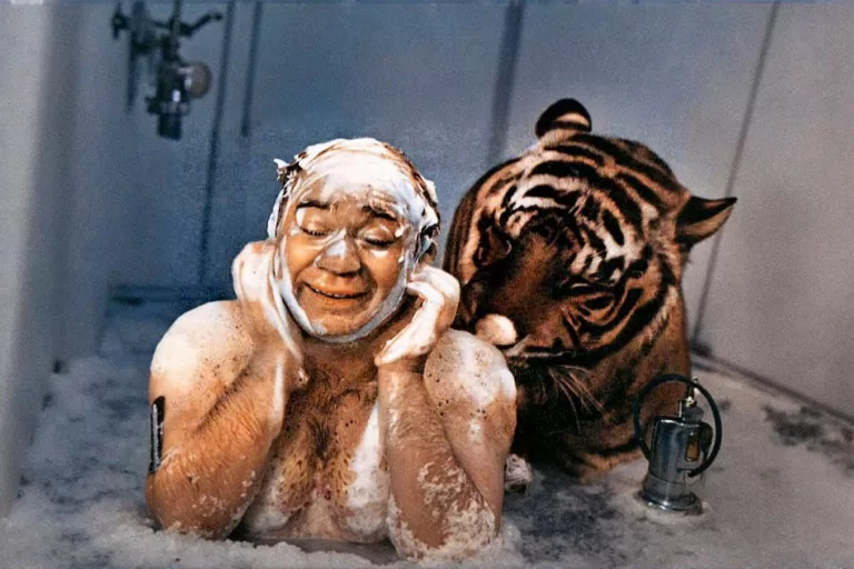 Тяжелые вопросы на знание фильма «Полосатый рейс»