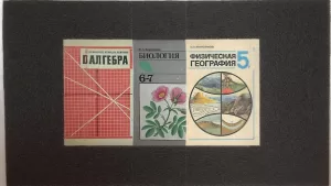 Что вы помните из школьной программы?