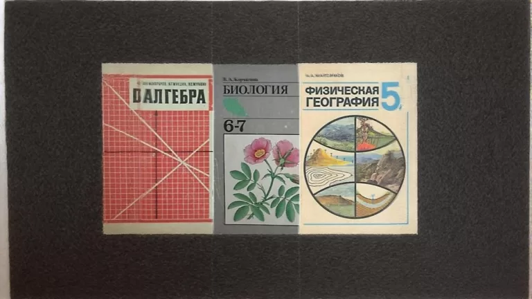 Что вы помните из школьной программы?