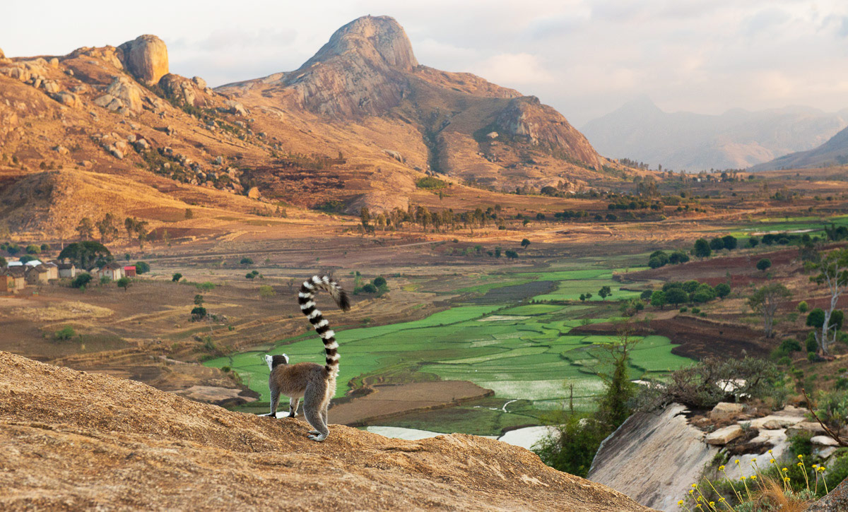 Мадагаскар Страна Африки