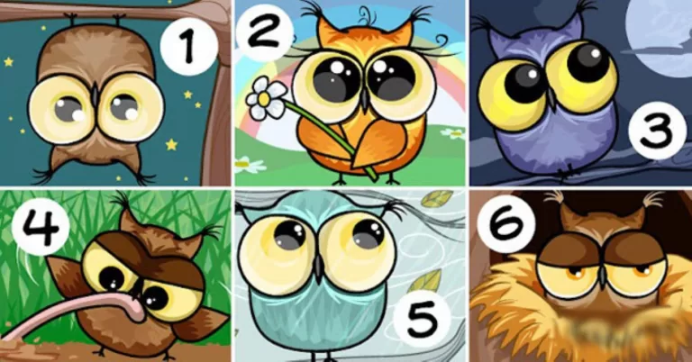 Выберите совёнка и узнайте кое-что о себе