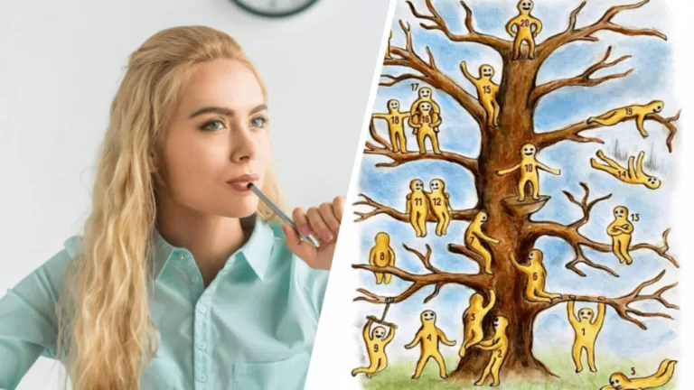 Где вы на этом дереве? Быстрый тест на определение эмоционального состояния