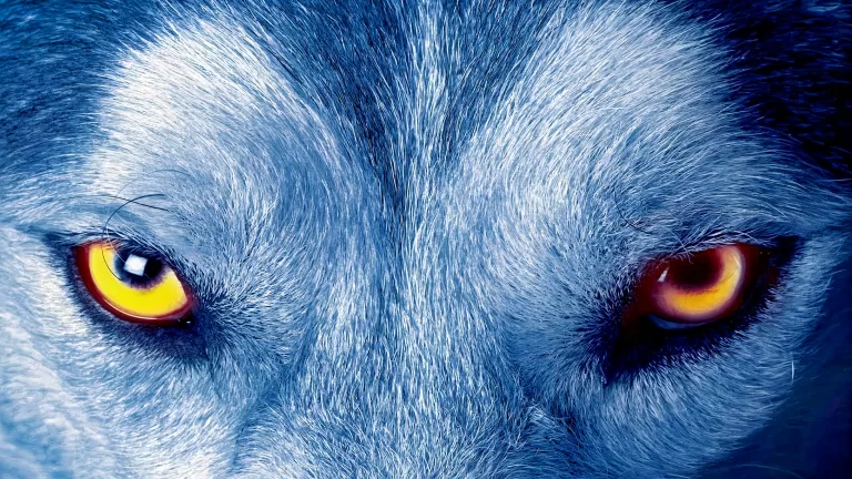 Кто ты в мире Омегаверса: Альфа, Бета или Омега?