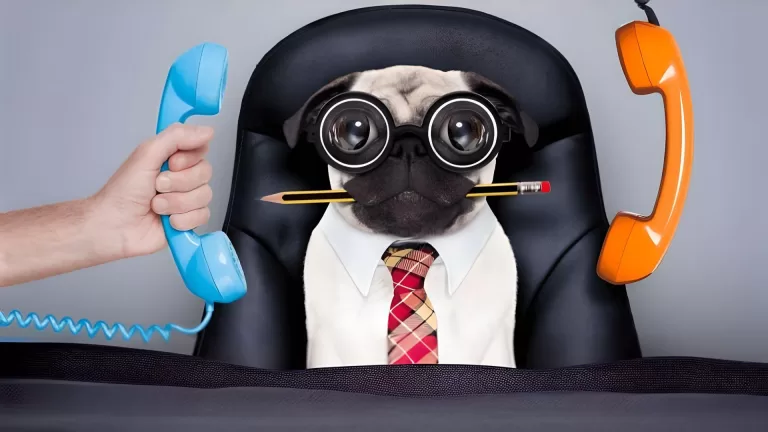 На какой необычной должности вы могли бы работать?