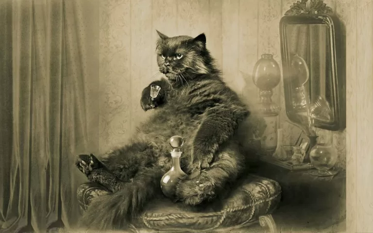 Кто вы из героев русской классической литературы?