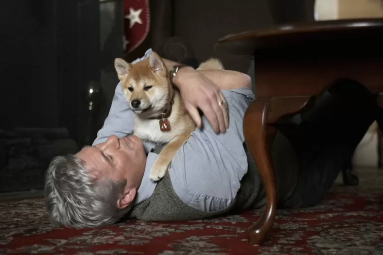 Хорошо ли вы знаете наши и зарубежные фильмы о животных?