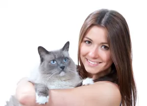 Насколько вы истинный кошатник?