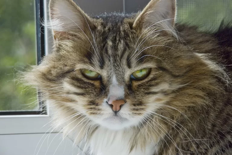 Насколько вы нелюдимы?