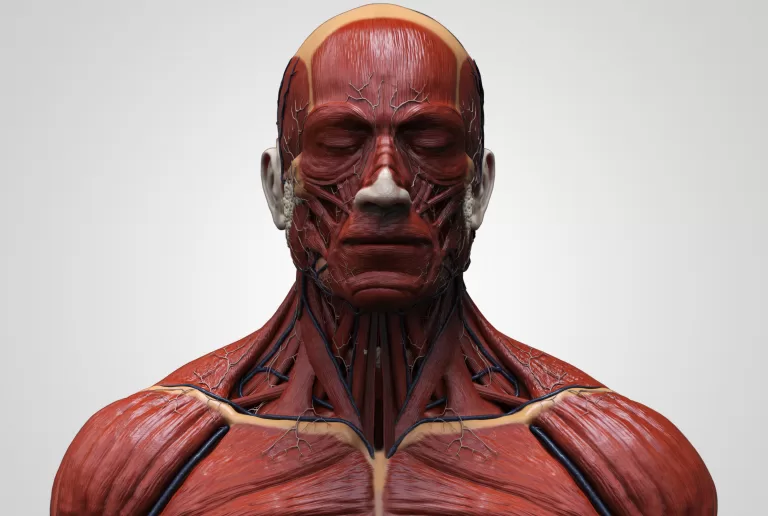 Вопросы на знание фактов о теле человека