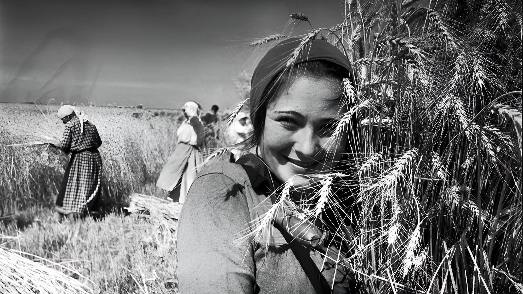 Как жили женщины в войну. Советская эпоха Маркова-Гринберга.. Фотография Маркова–Гринберга.