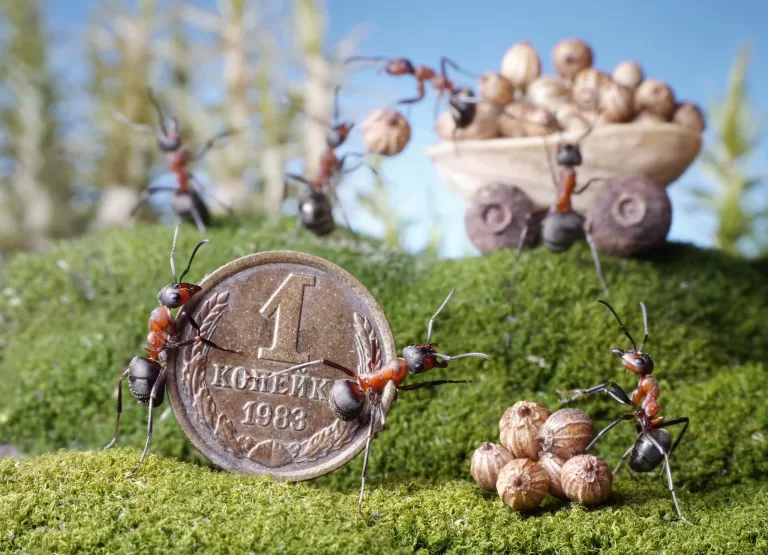 Сможешь ли ты закончить эти русские приметы?