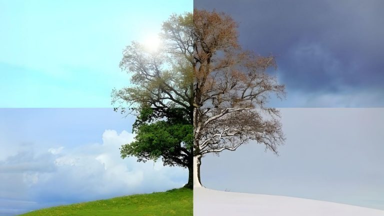 Какое время года — ваше?