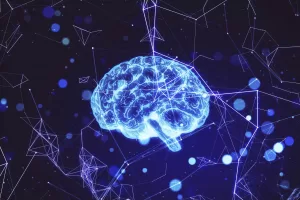 Ежедневный тест на эрудицию от 22 января 2026