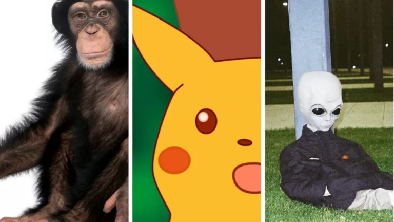 От кого ты произошла?