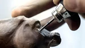 Вопросы о народных промыслах России: гжель или хохлома?