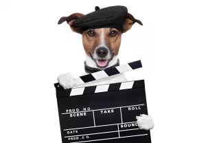 Только 1 из 10 настоящих любителей собак справится с этими силуэтами