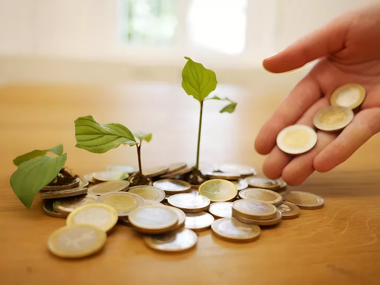 Есть ли у вас шанс разбогатеть?