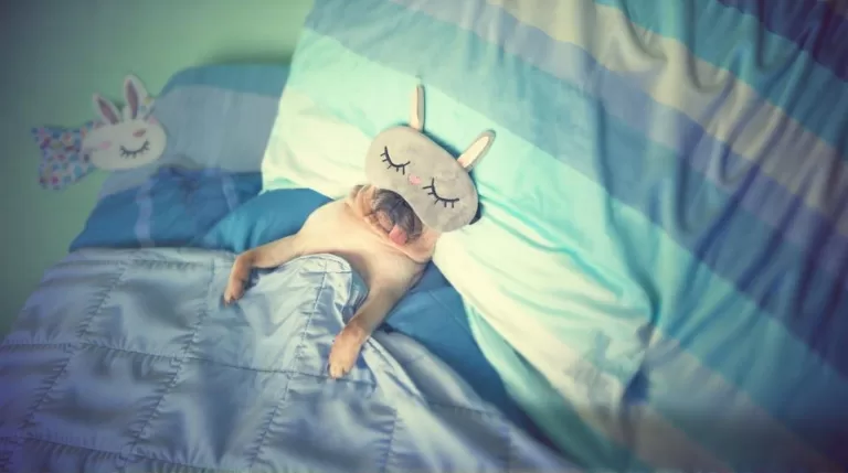 Что вы вообще знаете о сне?