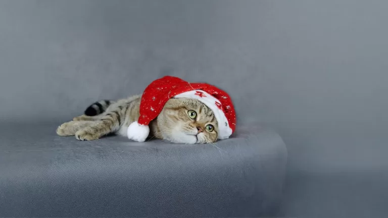 Школьница, узнай, как ты выглядишь после новогодних каникул?