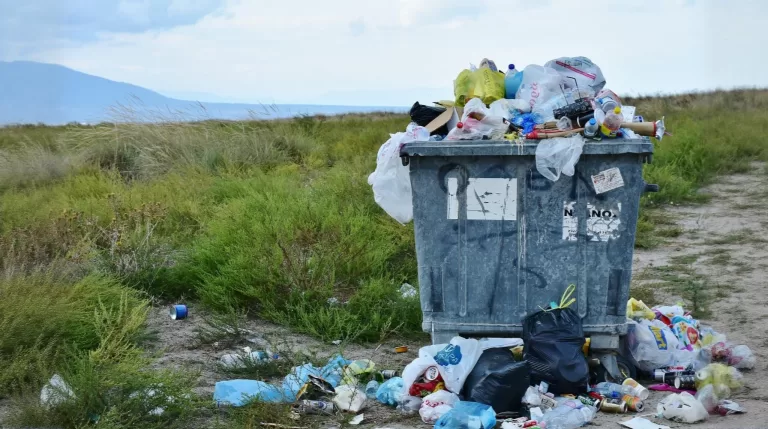 Вы способны ответить на 10 вопросов про мусор?