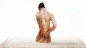 Строение шейного отдела позвоночника