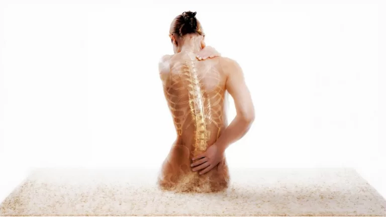 Строение шейного отдела позвоночника