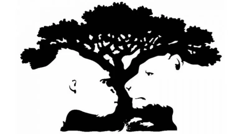 Первая увиденная деталь расскажет о скрытых чертах вашего характера