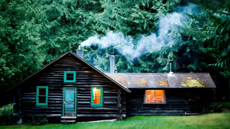 Постройте свою хижину в лесу и узнайте насколько вы интроверт