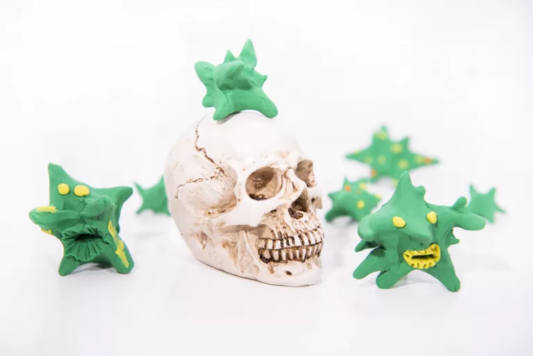 Проверка на знание эпидемий и вирусов