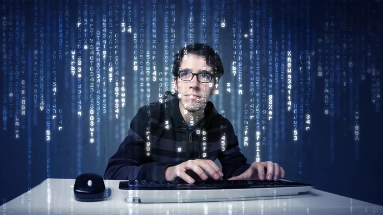 Смогли бы вы работать айтишником?