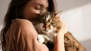 Выбери котика и узнай, как пройдет твой сентябрь