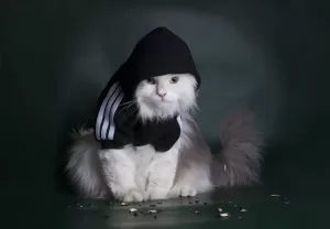 Узнай, быдло ты или интеллигент