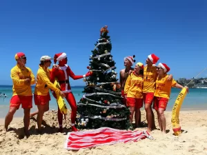 Когда ты избавишься от новогодней елки?