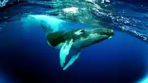 11 вопросов, на которые без труда ответит настоящий знаток биологии