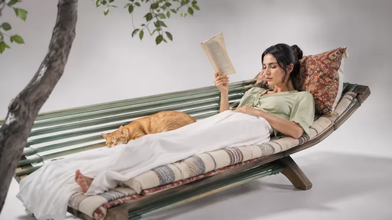 Тихий день с книгой и котом