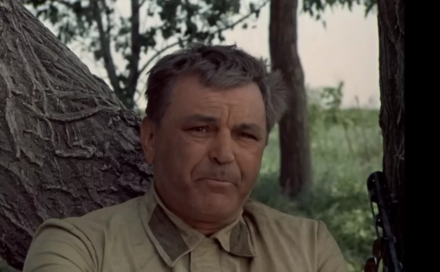 Как хорошо вы помните фильм «Они сражались за Родину»?