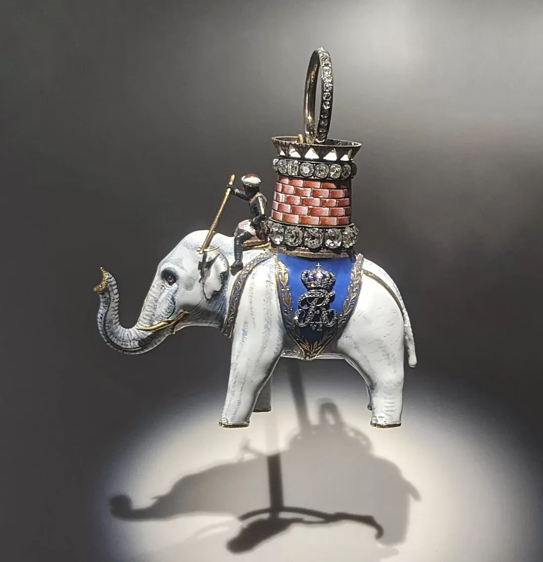 q05 order elephant