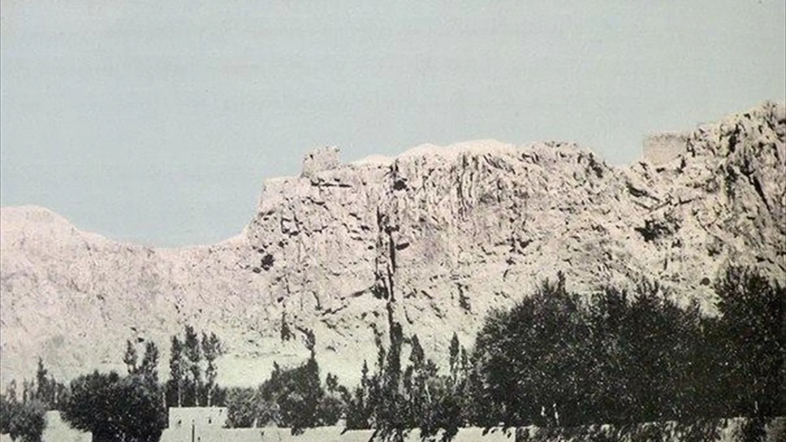 q08