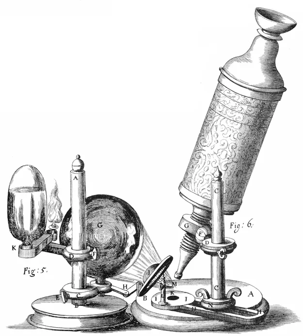 s06 20 hooke microscope