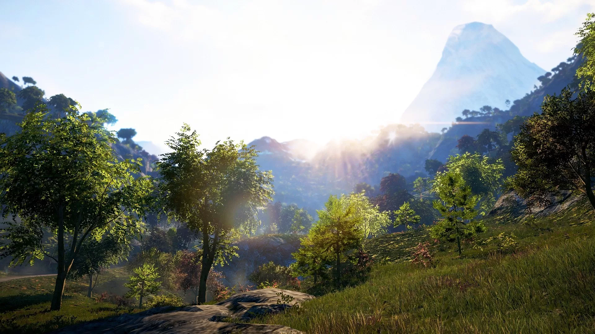 Солнечные лучи над лесной долиной Кирата в Far Cry 4